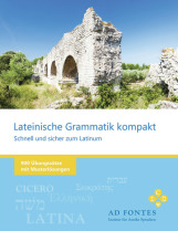 Lateinische Grammatik kompakt - Schnell und sicher zum Latinum